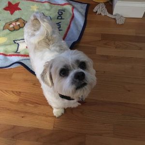 Meet your Posher, Maura